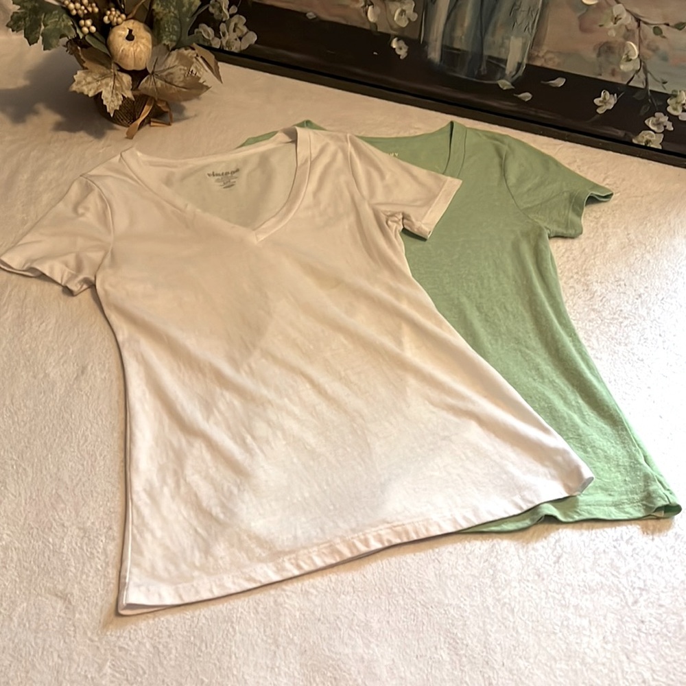 Old Navy Women's Short Sleeve V-Neck Tee Pack - White and Mint Green